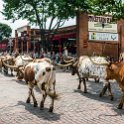 USA TX FortWorth 2019MAY22 014 : - DATE, - PLACES, - TRIPS, 10's, 2019, 2019 - Taco's & Toucan's, Americas, DFW, Day, Fort Worth, May, Month, North America, Stockyards, Texas, USA, Wednesday, Year